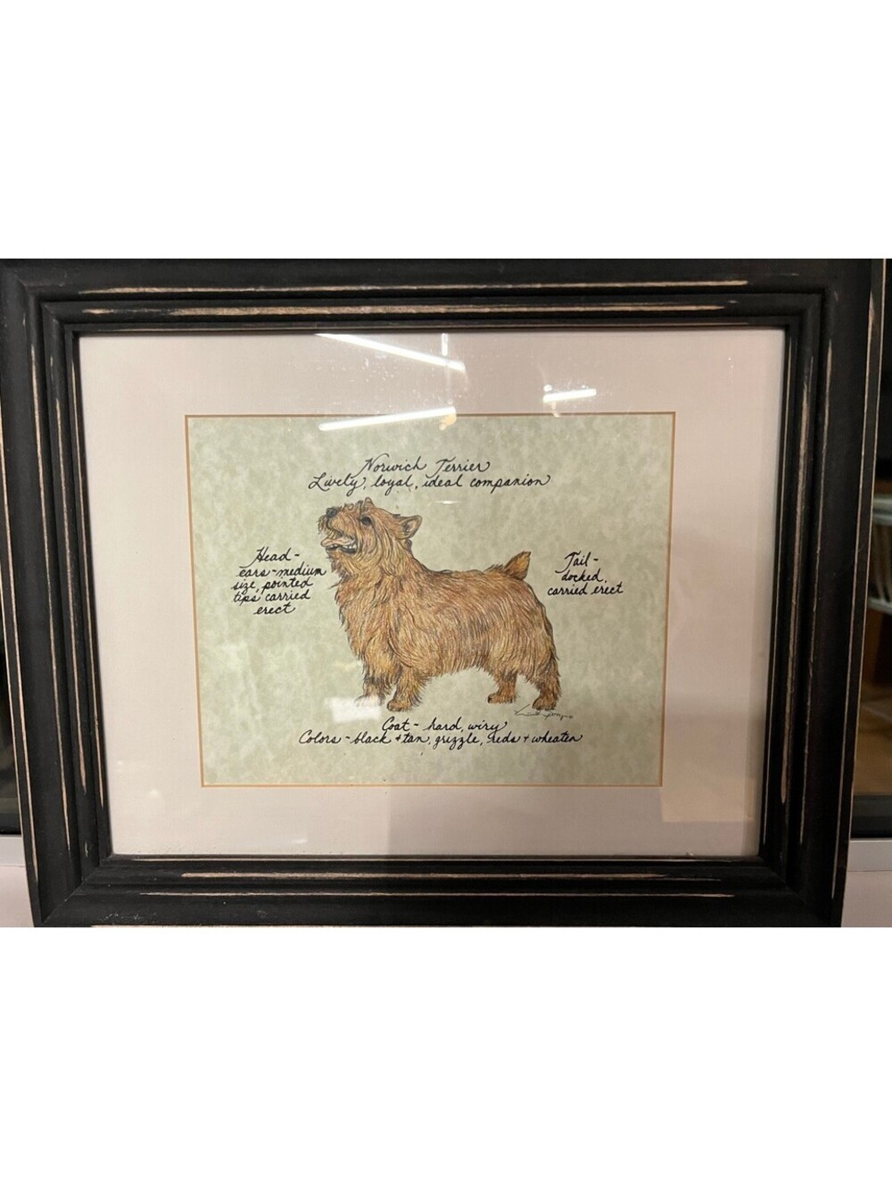Clapper Hollow Designs Norwich Terrier Framed Print 17x13.75 Linda Popp Signed